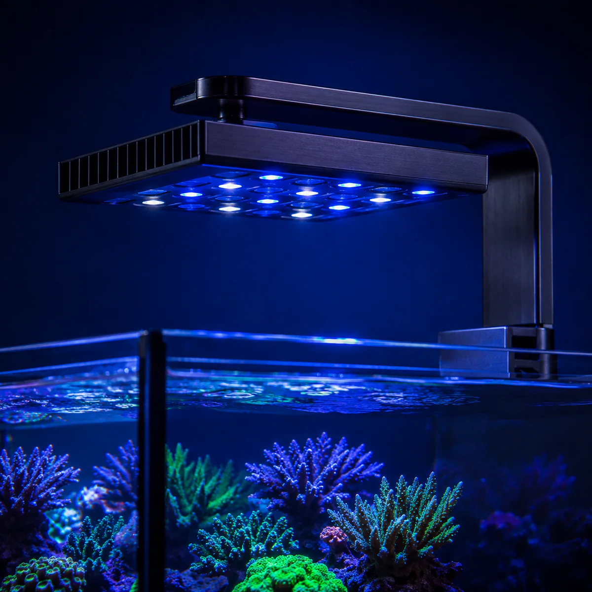 Single rectangular reef LED fixture over an aquarium